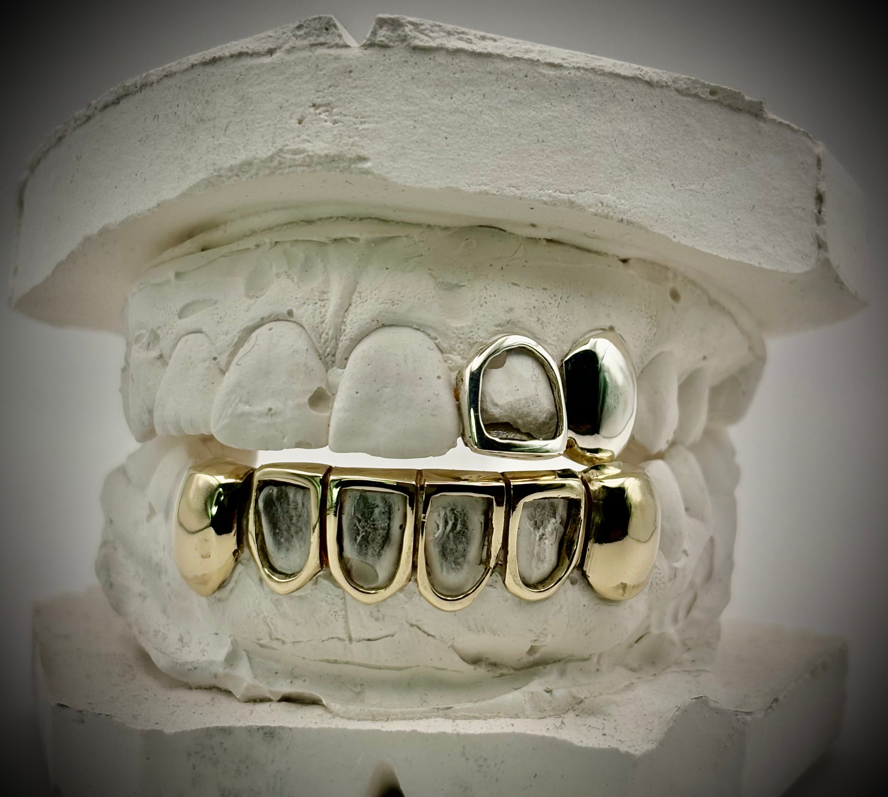 bottom 6 set (middle 4 windows) (canines plain)